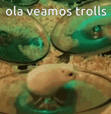 a picture of a mouse with the words " ola veamos trolls " below it