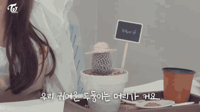 a cactus in a white pot with a sign that says ' twice beauty ' on it