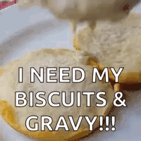 Biscuits And Gravy Biscuit GIF - Biscuits And Gravy Biscuit Gravy GIFs