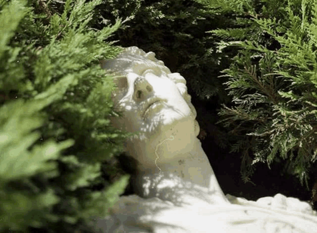 a statue of a woman 's head is surrounded by trees in a garden .