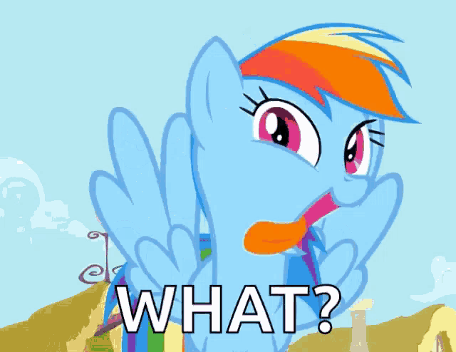 rainbow dash from my little pony says " what "