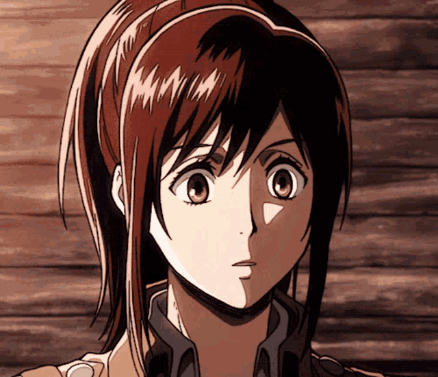 a close up of a girl 's face with brown hair
