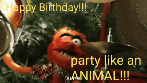 a picture of a muppet playing drums with the words happy birthday party like an animal
