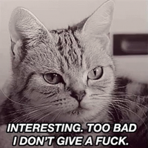 Bitchcat Angry GIF - Bitchcat Angry Cat GIFs