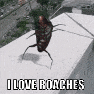 Dance Cockroach GIF - Dance Cockroach Roach GIFs