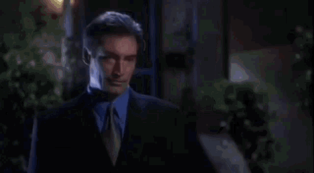 Timothy Dalton The Beautician And The Beast GIF