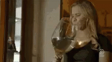 Wine Party GIF - Wine Party Amy Schumer GIFs