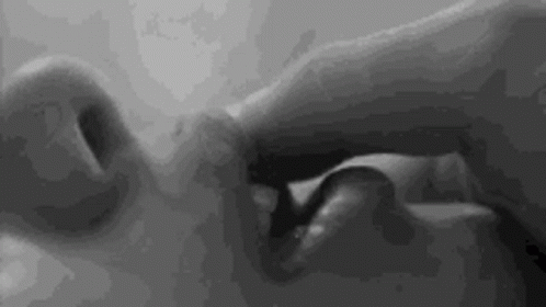 Let Me Touch You Couples GIF - Let Me Touch You Couples Kiss GIFs
