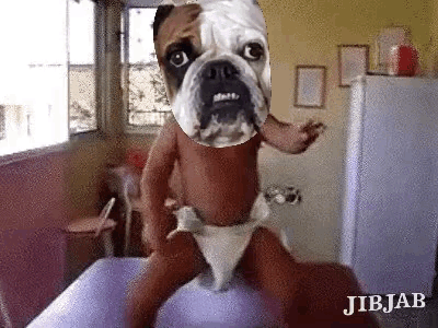 a baby in a diaper with a dog face on it