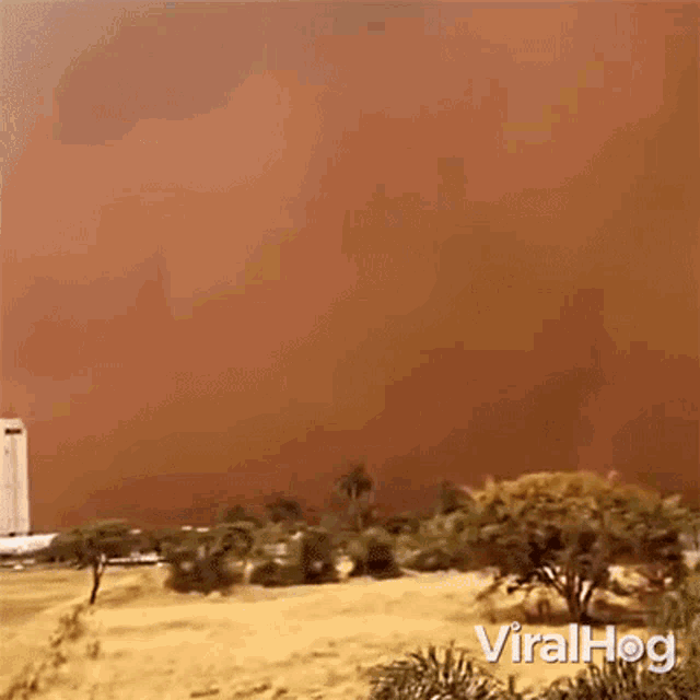 Dust Storm Viralhog GIF - Dust Storm Viralhog Haboob GIFs