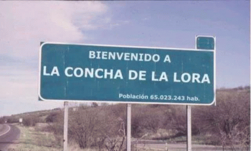 Concha Lora GIF - Concha Lora Concha De La Lora GIFs