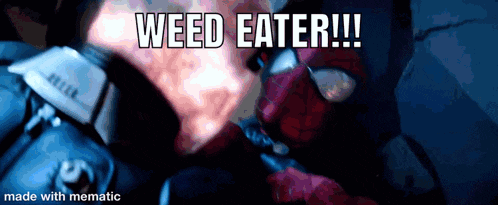 a screenshot of a spider-man saying weed eater