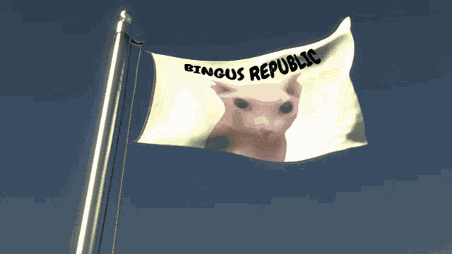 a flag that says ' bingus republic ' on it with a cat on it