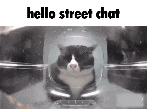 a black and white cat is sitting in a container with the words hello street chat below it