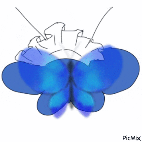 a blue butterfly is sitting on top of a white flower