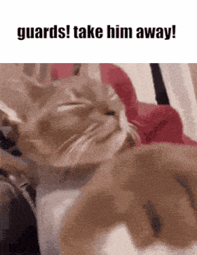 a picture of a cat with the words guards take him away at the top