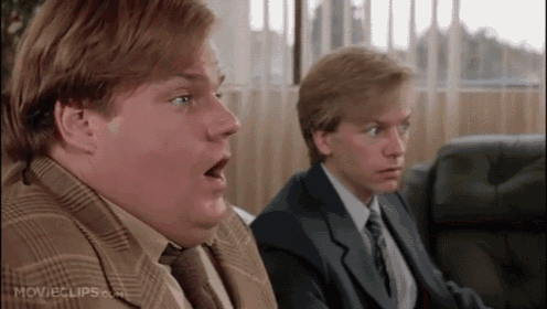 It Has To Be Your Bull GIF - Tommy Boy Chris Farley GIFs