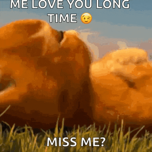 a teddy bear is laying in the grass with the words `` me love you long time miss me '' written above it .