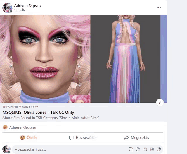 a facebook page shows a picture of a drag queen and a picture of a dress