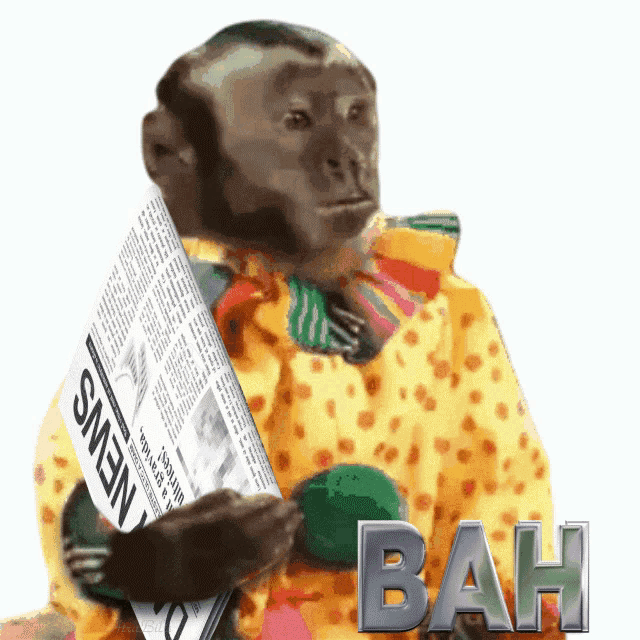 a monkey holding a newspaper that says news on the front