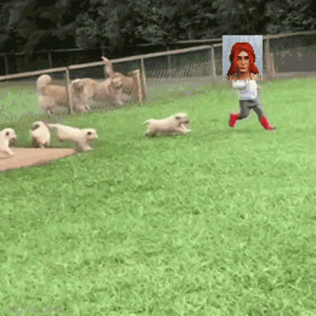 a woman with red hair is running in a field with a bunch of puppies