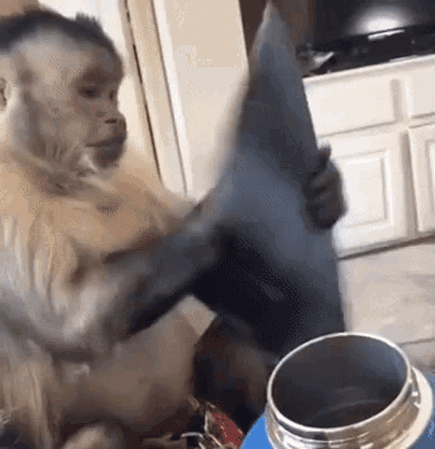 a monkey is sitting at a table holding a piece of paper and a bottle of water .