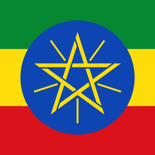 Ethiopia Ethiopian GIF - Ethiopia Ethiopian Ethiopian Flag GIFs