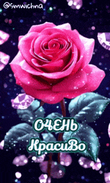 a pink rose is surrounded by green leaves and diamonds