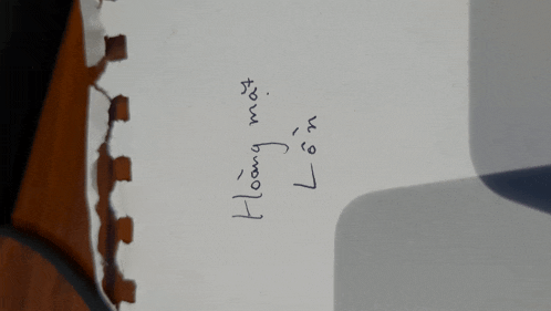 a piece of paper that says hoang on it