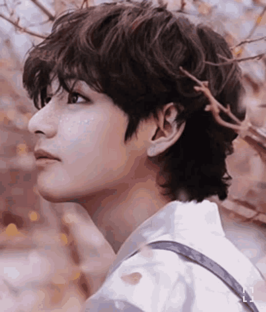 a close up of a person 's face with a tree branch in the background .
