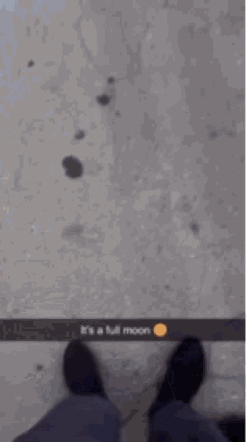 Full Moon Meme GIF - Full Moon Meme Idk GIFs