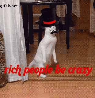 Cat Rich GIF - Cat Rich Walk GIFs