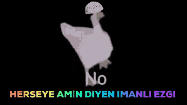 a duck wearing a hat says no in a black background