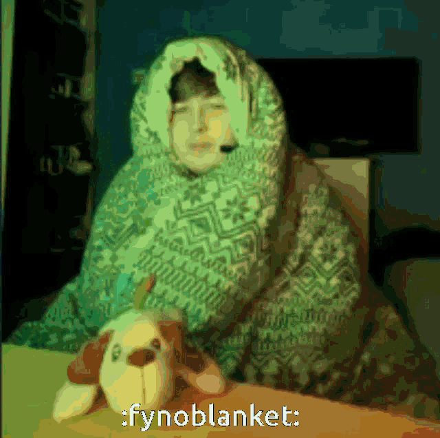 a person is wrapped in a blanket and holding a stuffed dog with the words fynoblanket written below them