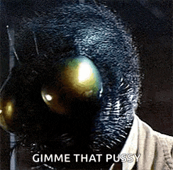 a close up of a person wearing a fly mask with the words `` gimme that pussy '' written on it .
