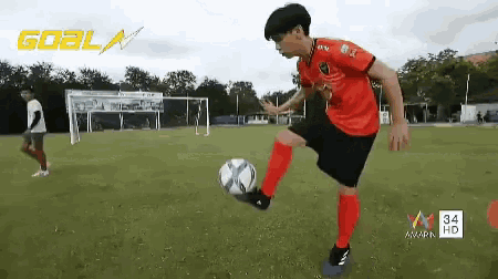 a soccer player is kicking a soccer ball on a field with a goal written on the bottom