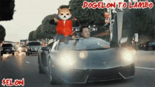 a man is driving a lamborghini with a dog on top of him