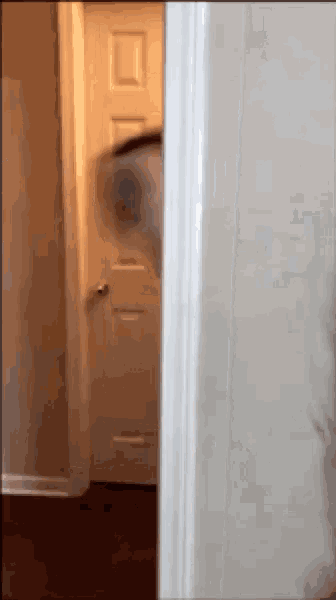 a person is standing in a hallway with a fan on their head