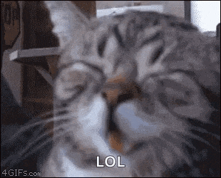 a close up of a cat 's face with its eyes closed and the words lol written on the bottom