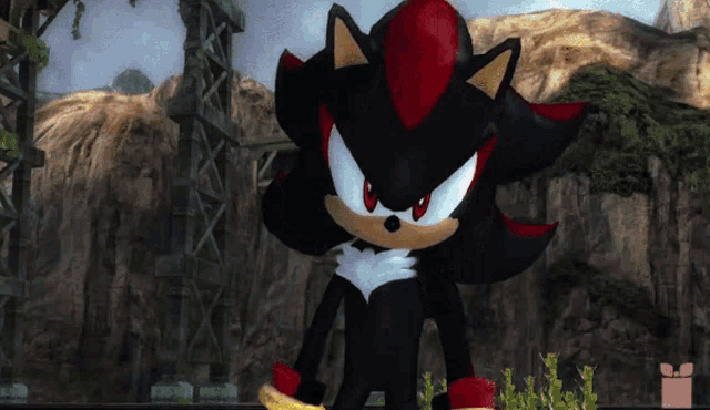 shadow the hedgehog is standing in front of a cliff