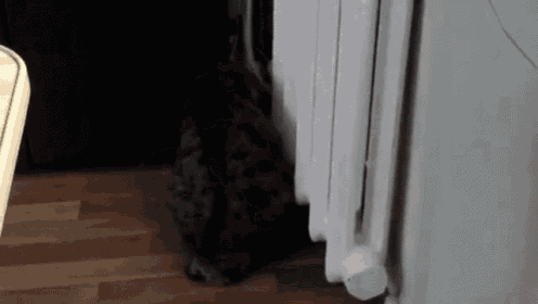 Finding That Warm Spot  GIF - Cat Warm Cuddle GIFs