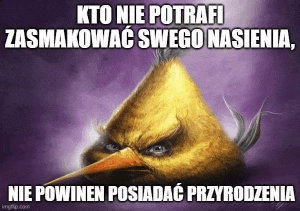 a picture of an angry bird with a caption in another language