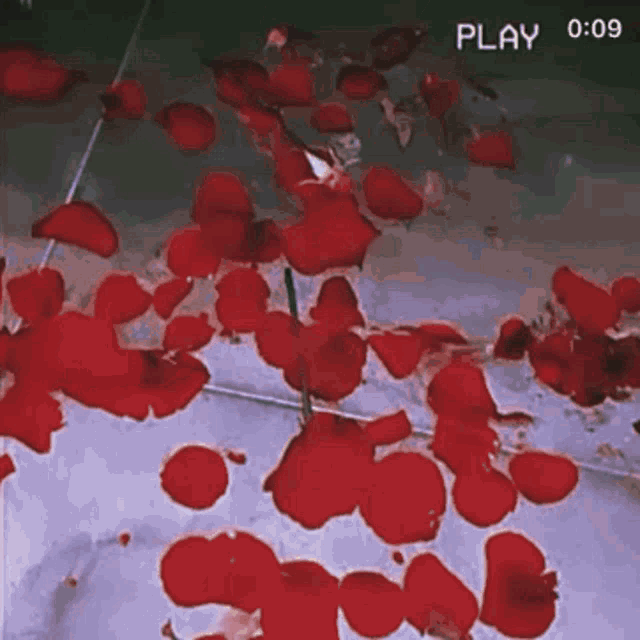 a video of red rose petals on a tile floor