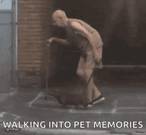 a man is walking into pet memories with a small dog