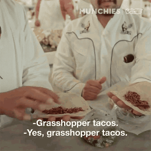 Grasshopper Tacos Theyre Very Good And Delicious GIF - Grasshopper Tacos Theyre Very Good And Delicious Theyre Tasty GIFs