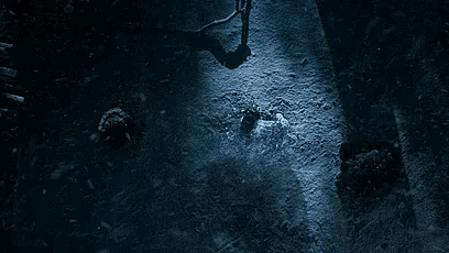 a shadow of a person is cast on a snowy ground