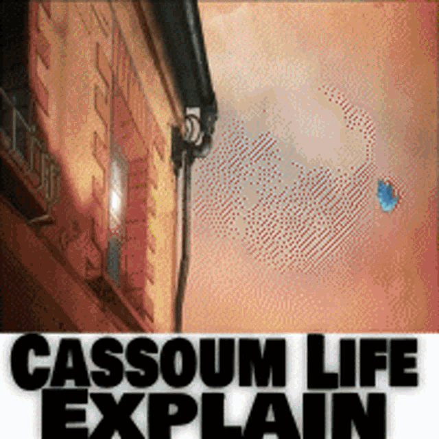 Cassoum GIF