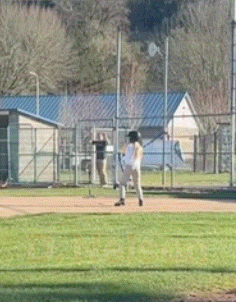 a baseball player is standing on the field holding a bat ..