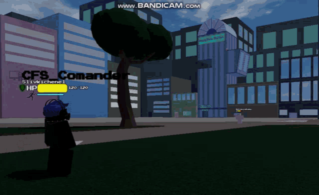 a screenshot of a video game with the name cfs_commande