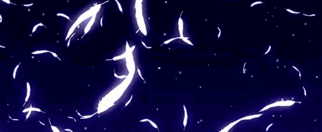 a circle of light is surrounded by feathers on a dark background .